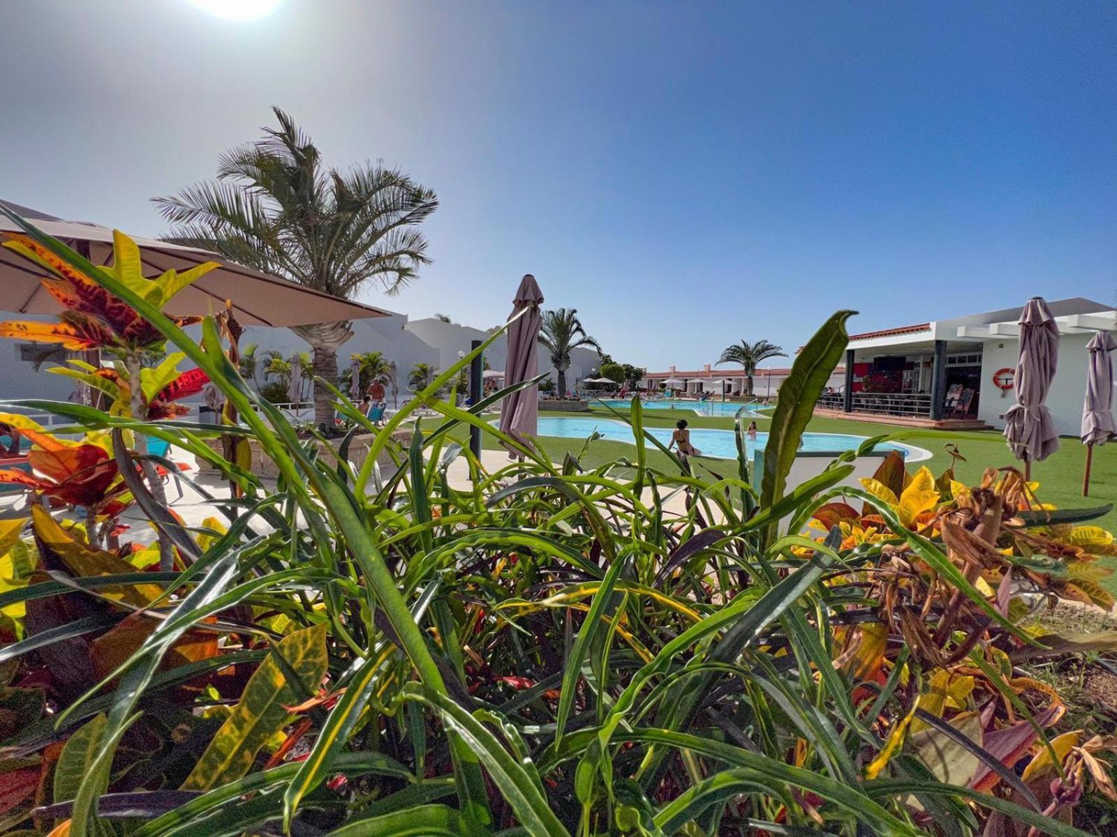 Malibu Park Apartments Sol Costa Adeje  Eksteriør billede